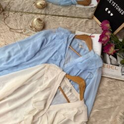 Elegant women’s ruffle V-neck chiffon tops in sky blue and ivory placed on wooden hangers – stylish button-down shirts for office and casual wear